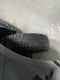 2022 Chevrolet Silverado 1500 LTD 4WD Crew Cab Short Bed LT Trail Boss
